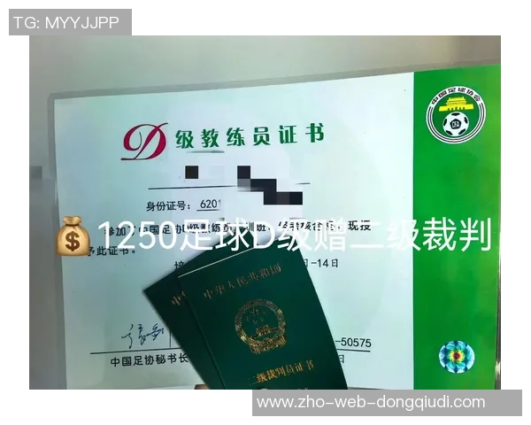 提升足球D级教练员素质的有效策略与实践探索 提升足球D级教练员素质的有效策略与实践探索